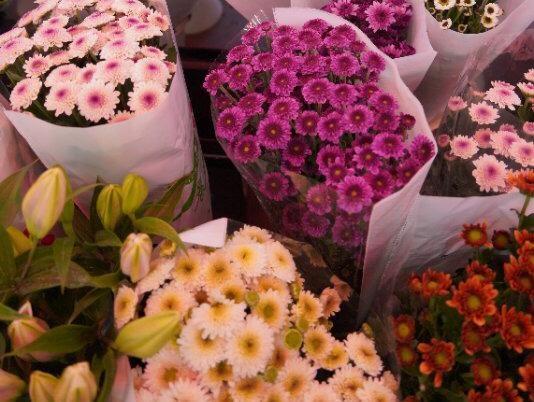 市民过春节购买鲜切花如何制作成干花？看这里