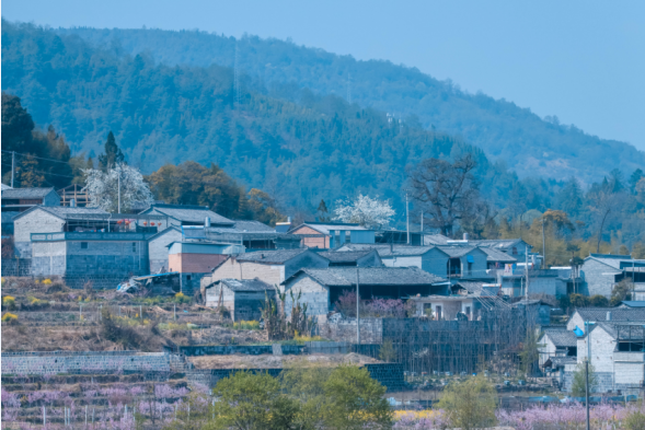 云南保山腾冲市北海乡：协调发展实现村美民富