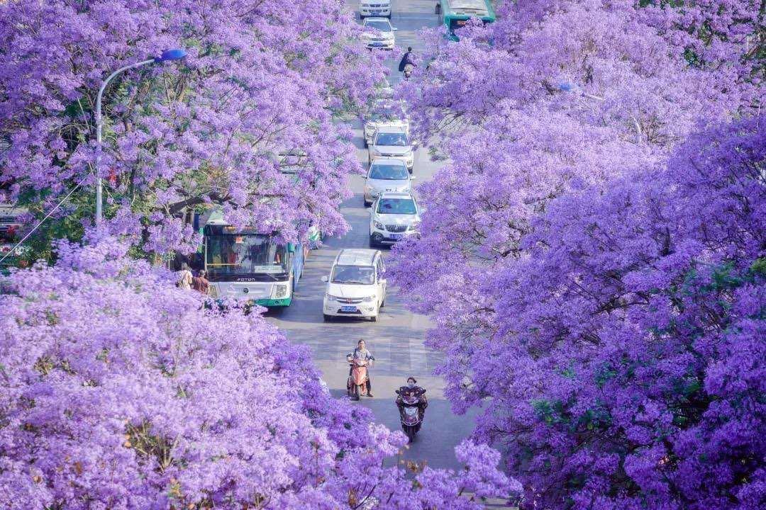 第一次来云南旅游，这几个地方景点是必打卡的地方