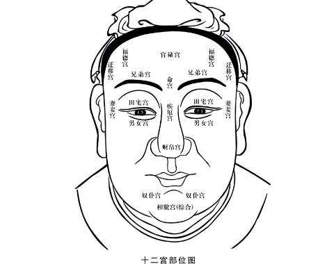 各派“相学精髓”汇总