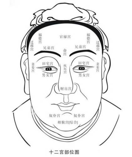 各派相学精髓