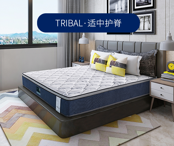 Serta美国舒达床垫正品 Tribal 可定做双人席梦思床垫1.8米 环保