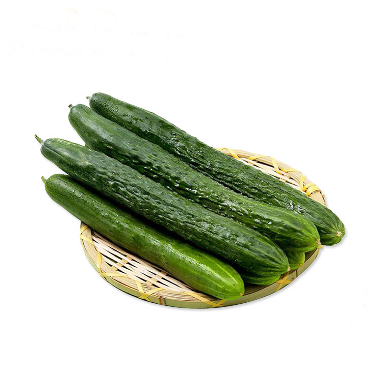 香格里拉市旺华种植有限责任公司